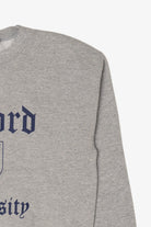 Vintage Gray Oxford University Sweatshirt (1990s)