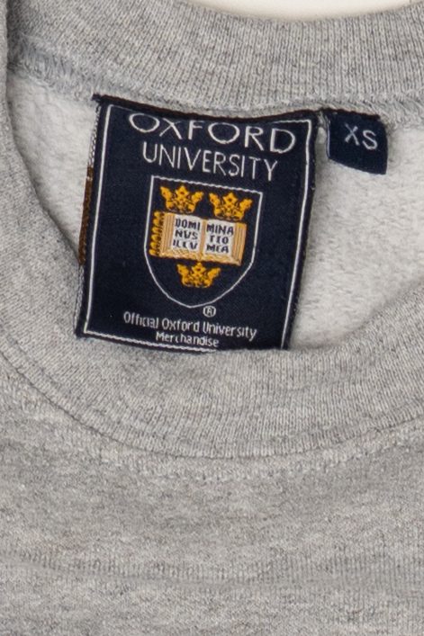 Vintage Gray Oxford University Sweatshirt (1990s)