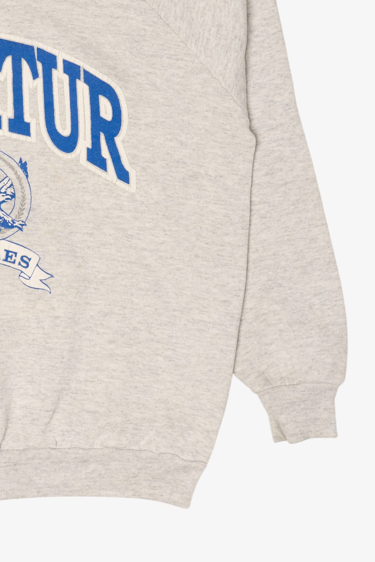 Vintage Light Gray Embossed Decatur Eagles Raglan Sweatshirt (1990s)