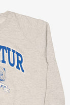 Vintage Light Gray Embossed Decatur Eagles Raglan Sweatshirt (1990s)