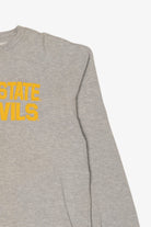 Vintage Gray Arizona Sun Devils Sweatshirt (2000s)