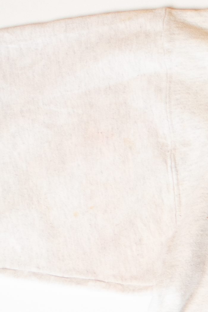 Vintage Lambda Chi Alpha Iota Theta Sweatshirt (1990s)