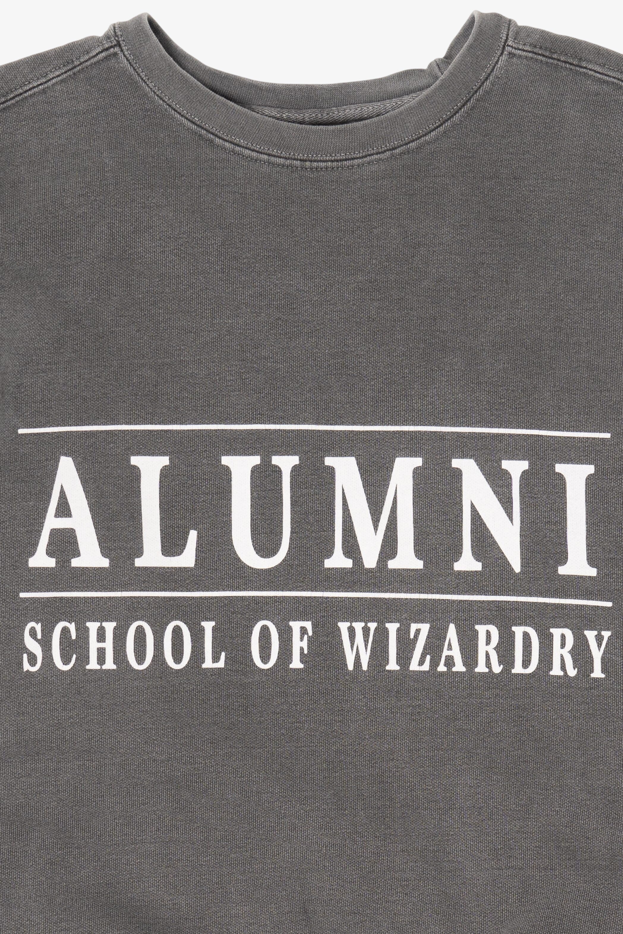 Gray School Of Wizardry Alumni Sweatshirt (2010s)