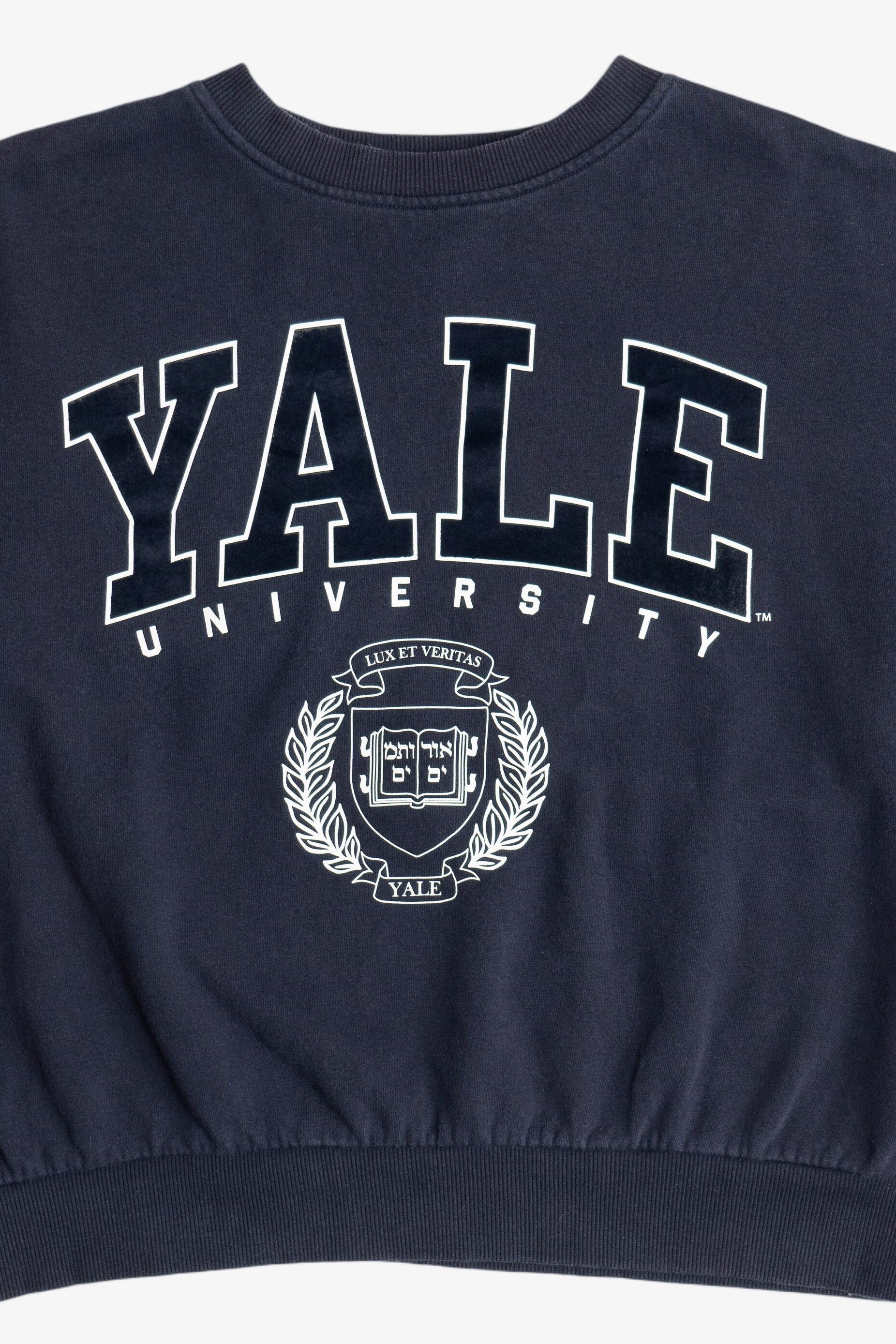 "Yale University" Oversized Cropped Sweatshirt (2020s)