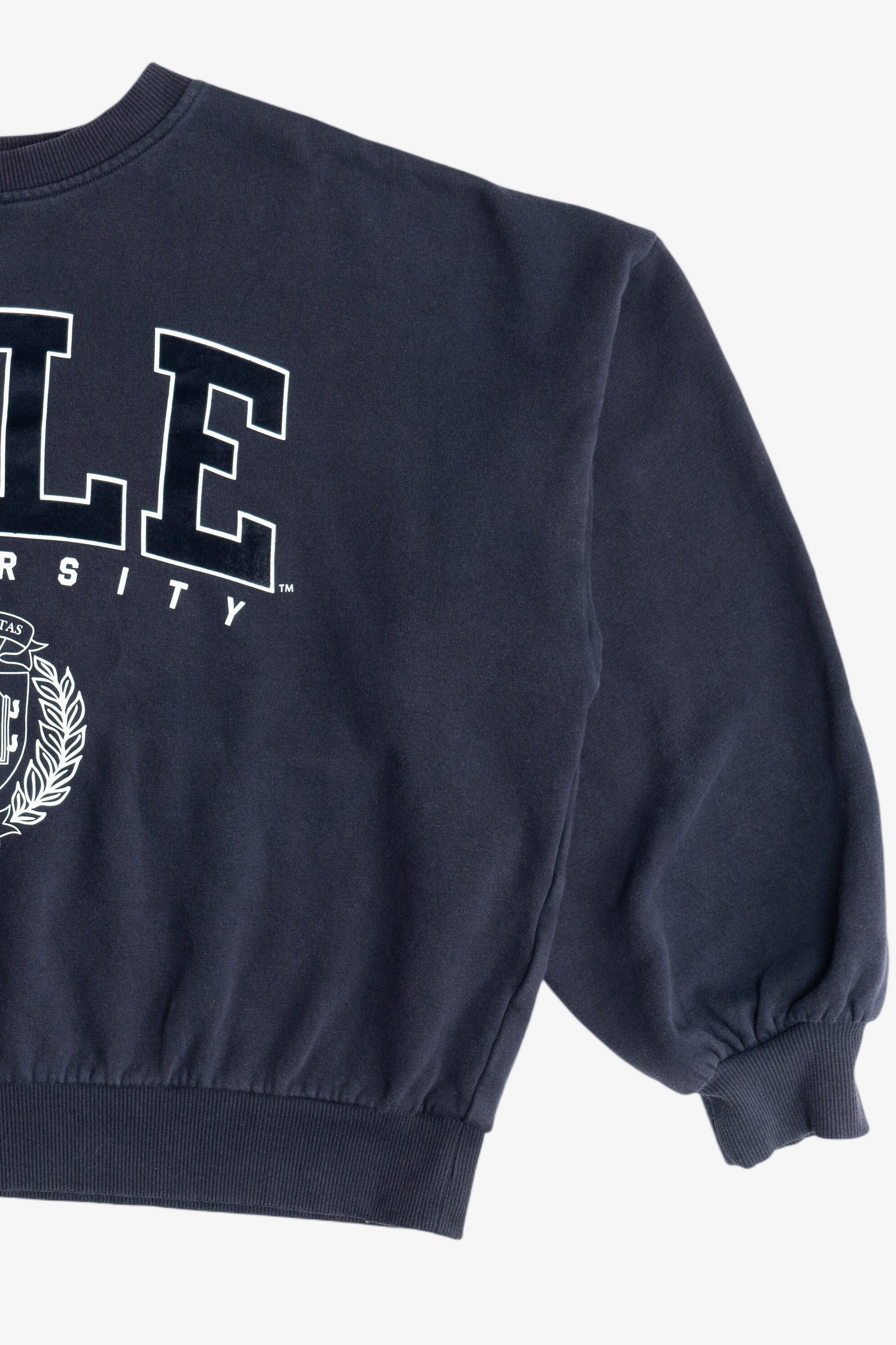 "Yale University" Oversized Cropped Sweatshirt (2020s)