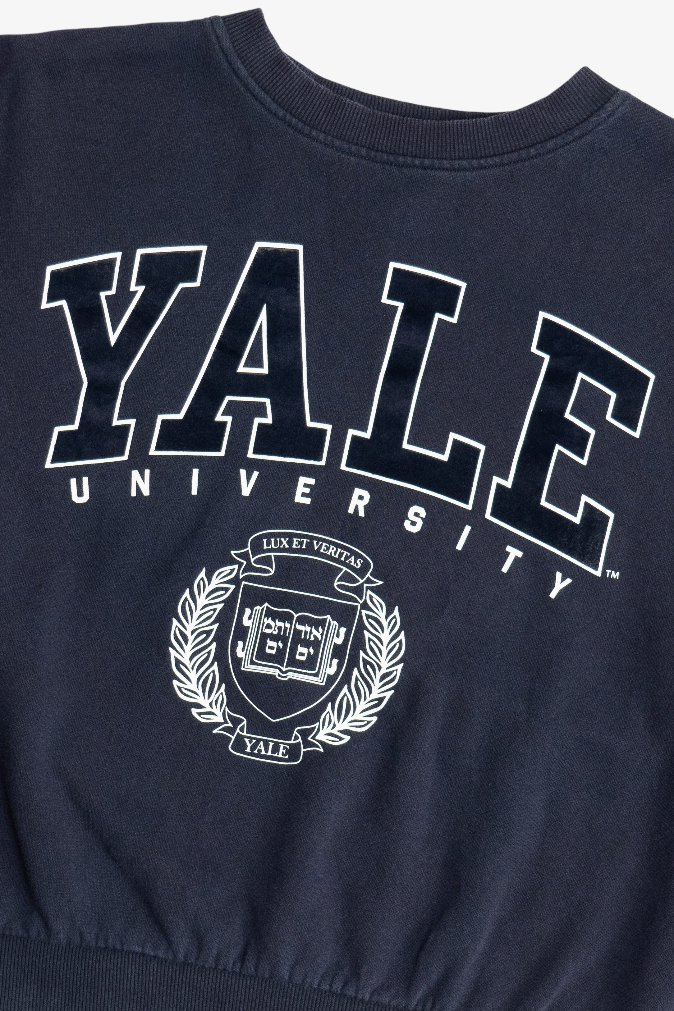 "Yale University" Oversized Cropped Sweatshirt (2020s)