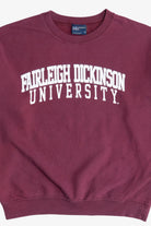 Vintage "Fairleigh Dickinson University" College Sweatshirt (1990s)