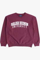 Vintage "Fairleigh Dickinson University" College Sweatshirt (1990s)