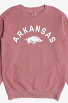 "Arkansas" Razorbacks The University of Arkansas Mascot Sweatshirt (2010s)