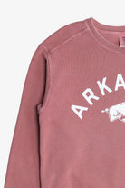 "Arkansas" Razorbacks The University of Arkansas Mascot Sweatshirt (2010s)