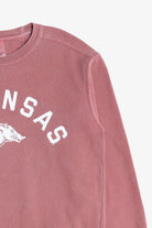 "Arkansas" Razorbacks The University of Arkansas Mascot Sweatshirt (2010s)