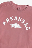 "Arkansas" Razorbacks The University of Arkansas Mascot Sweatshirt (2010s)