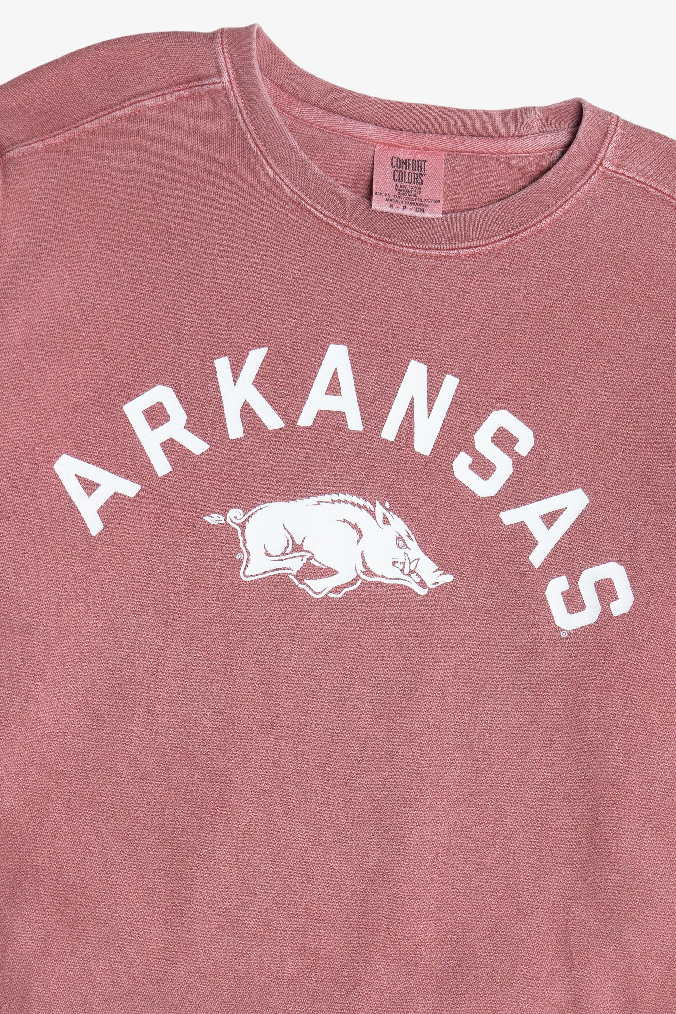 "Arkansas" Razorbacks The University of Arkansas Mascot Sweatshirt (2010s)