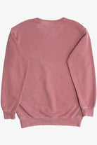 "Arkansas" Razorbacks The University of Arkansas Mascot Sweatshirt (2010s)