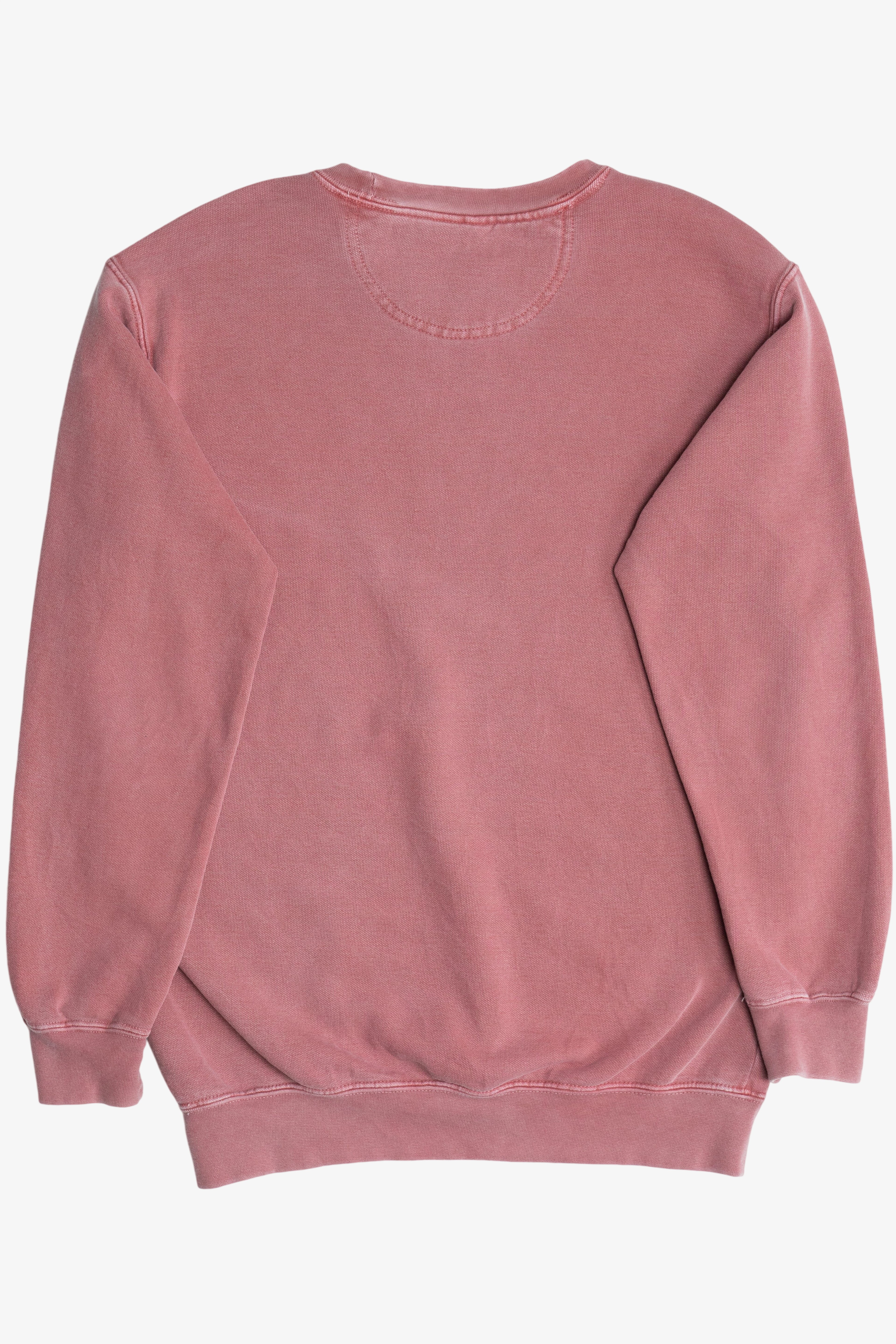 "Arkansas" Razorbacks The University of Arkansas Mascot Sweatshirt (2010s)