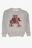 Light Gray Arkansas Razorbacks Sweatshirt (2010s)