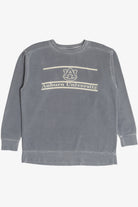 Auburn University College Sweatshirt (2010s)