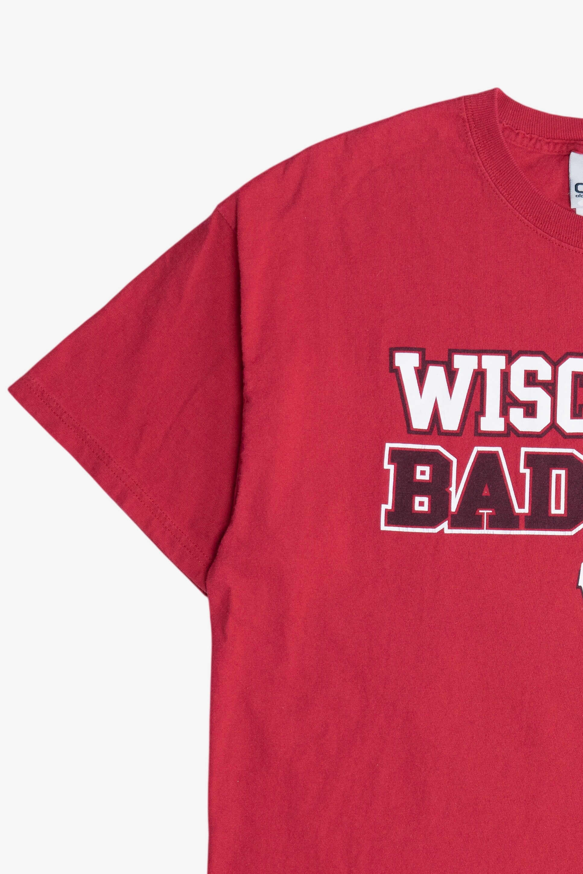 Vintage "Wisconsin Badgers" University of Wisconsin Madison T-Shirt (2000s)