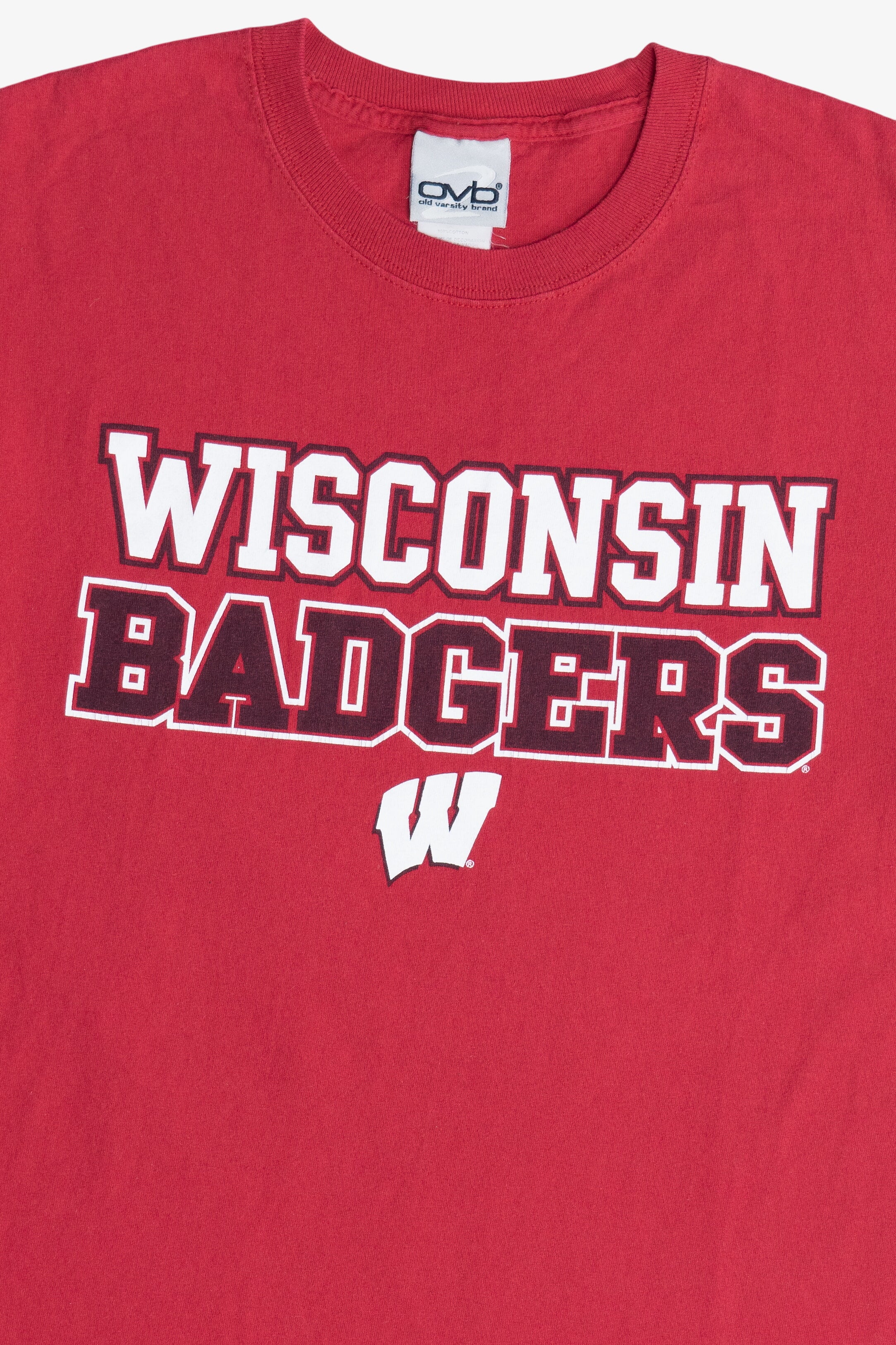 Vintage "Wisconsin Badgers" University of Wisconsin Madison T-Shirt (2000s)