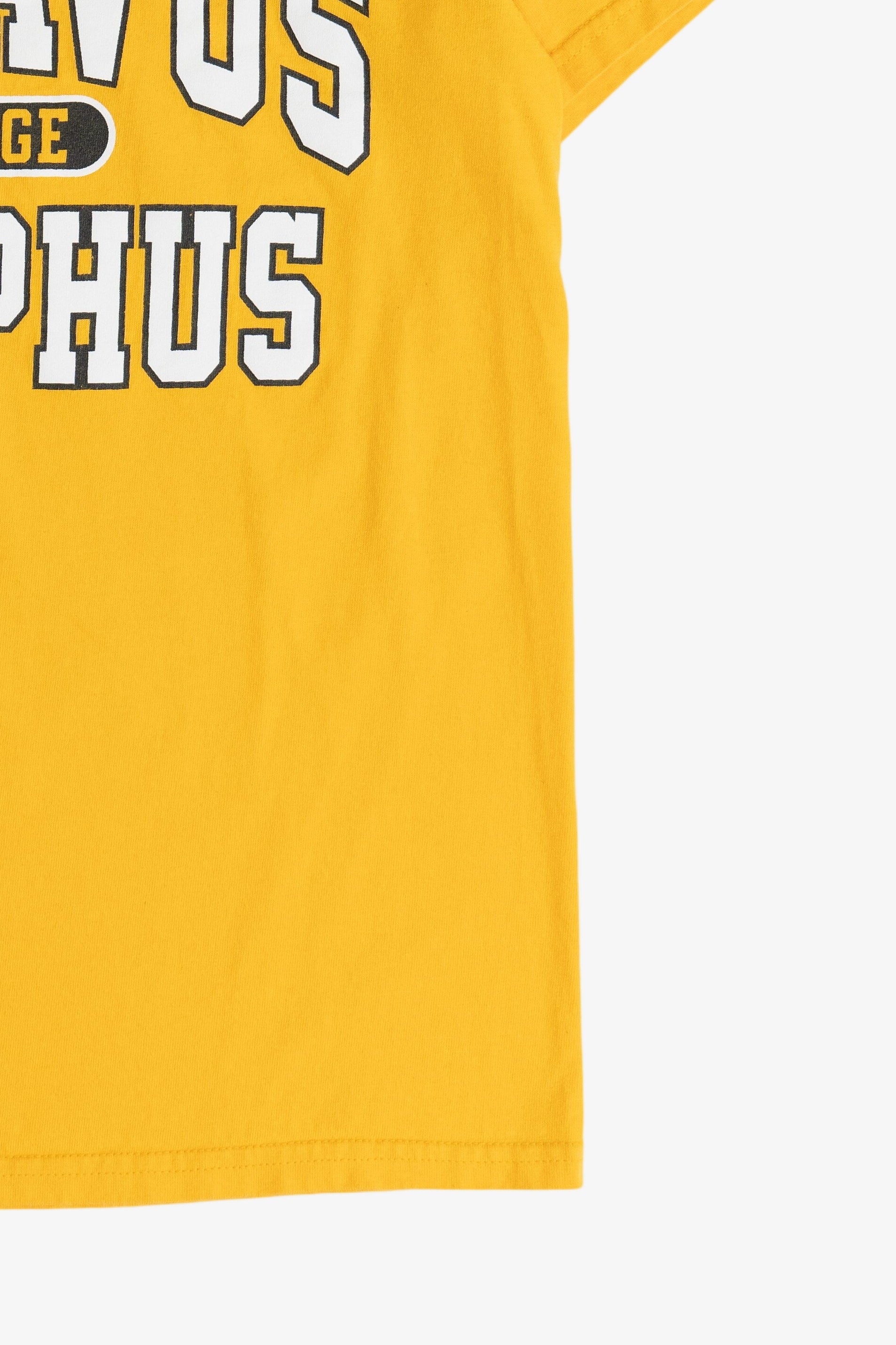 Vintage "Gustavus Adolphus College" MV Sport T-Shirt (2000s)