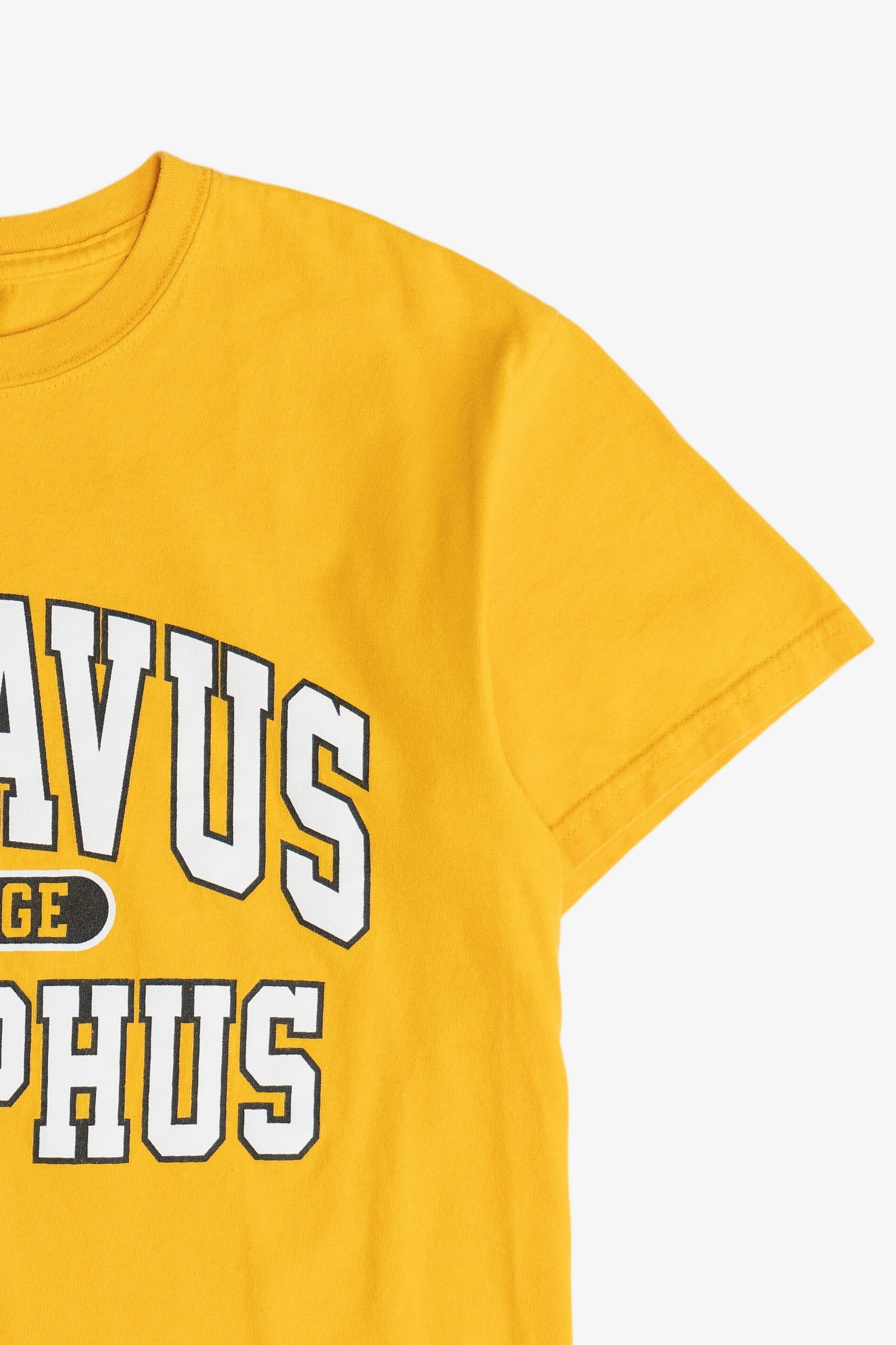 Vintage "Gustavus Adolphus College" MV Sport T-Shirt (2000s)