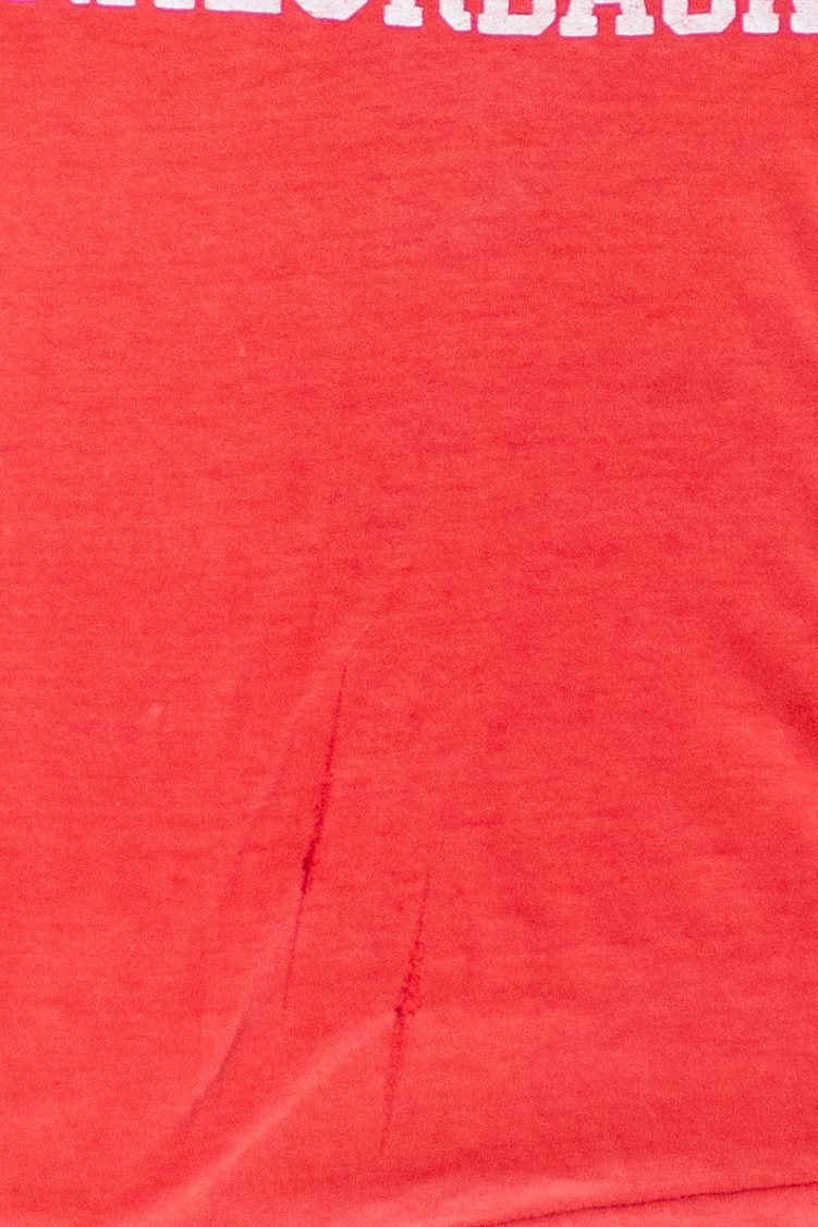 Vintage Paper Thin Arkansas Razorbacks T-Shirt (1980s)