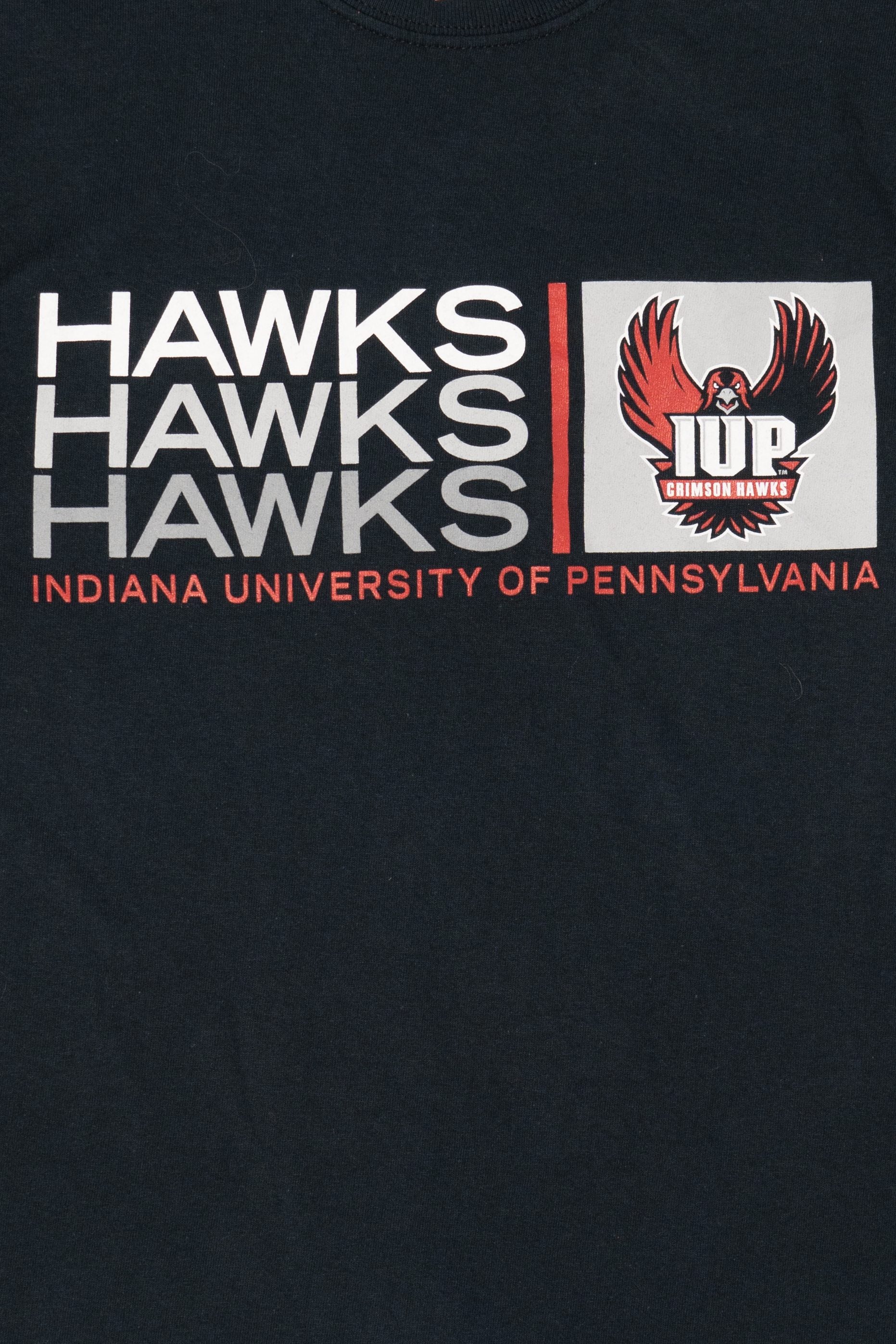 Indiana University Of Pennslyvania Hawks T-Shirt (2010s)