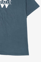 Vintage University Of Wisconsin River Falls Single Stitch T-Shirt (1990s)
