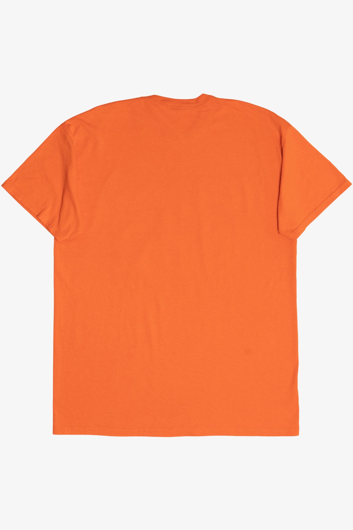 Vintage VSU Virginia State University Russell Athletic T-Shirt (1990s)