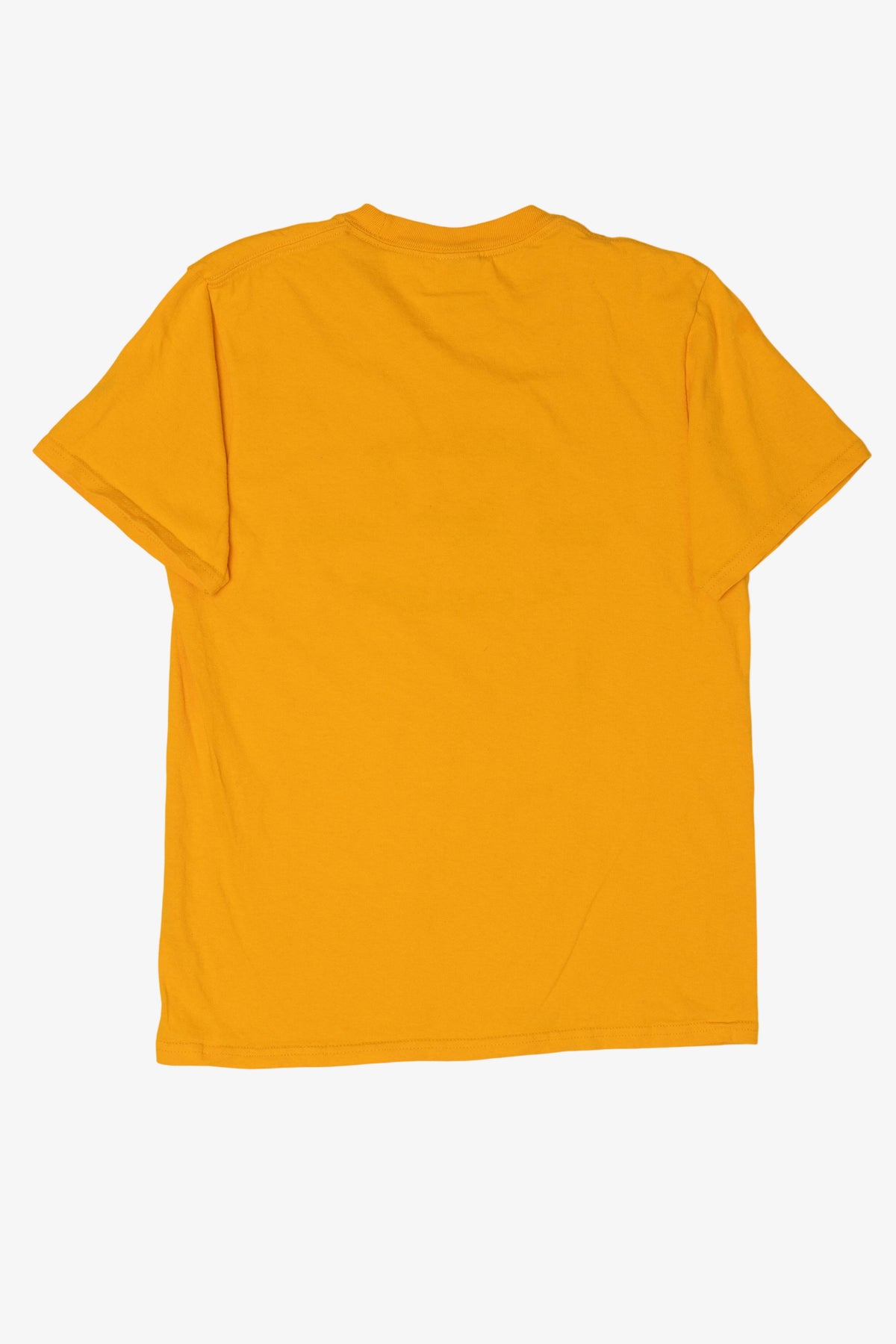 Women's Basketball "Coach P's Little Gophers" T-Shirt (2010s)