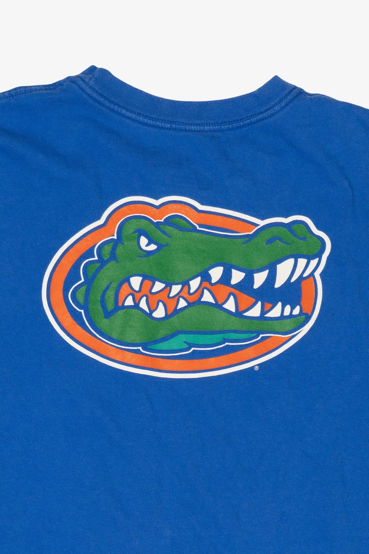 Blue Nike Florida Gators "The Swamp" T-Shirt (2010s)