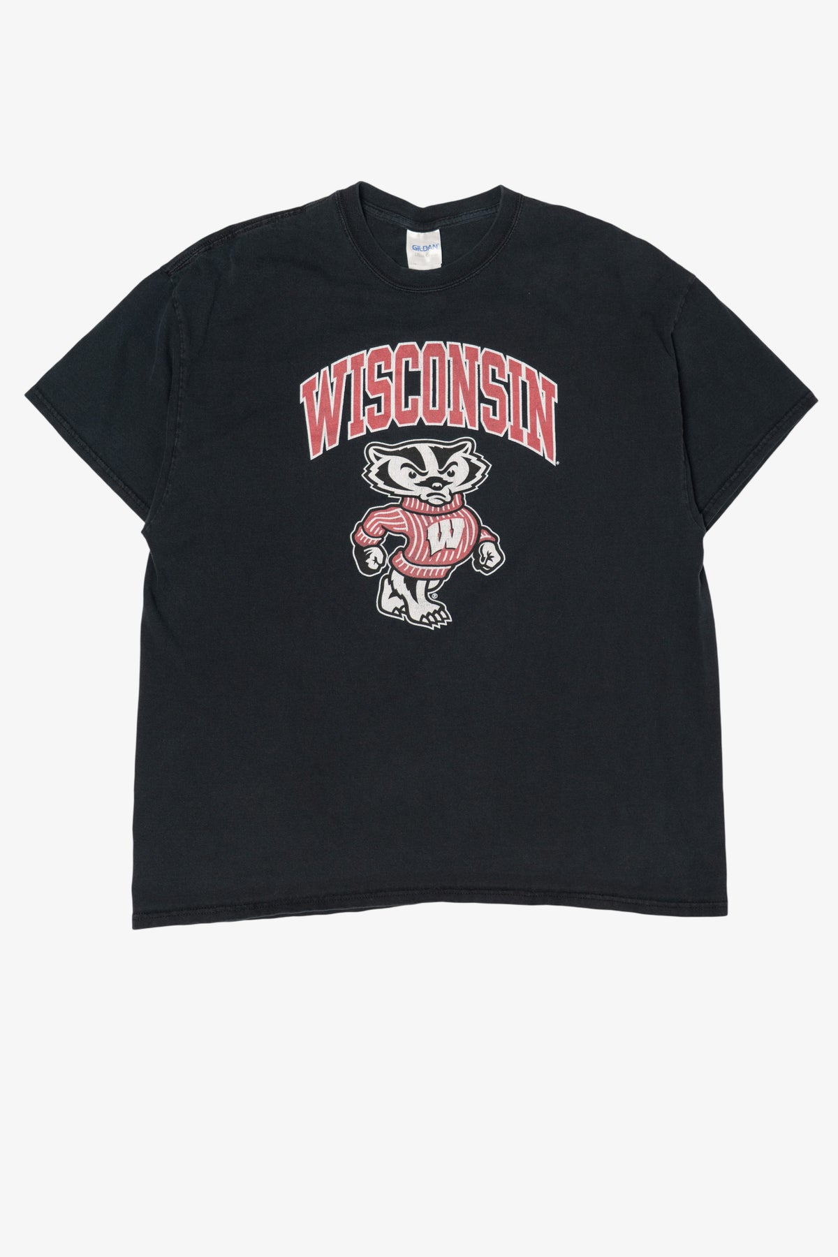 Vintage University Of Wisconsin Badgers T-Shirt (2000s)