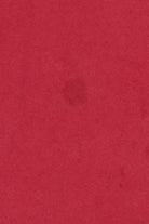 Red Arkansas Razorbacks Allstate Sugar Bowl T-Shirt (2010s)