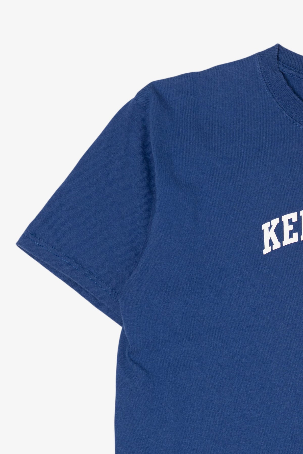 Vintage Blue University of Kentucky Champion T-Shirt (2000s)