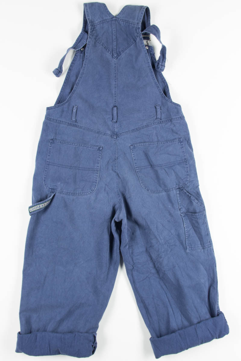 Looney Tunes Overalls