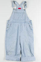 Rail Road Striped Overalls