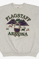Vintage Gray Flagstaff Arizona Sweatshirt (1990s)