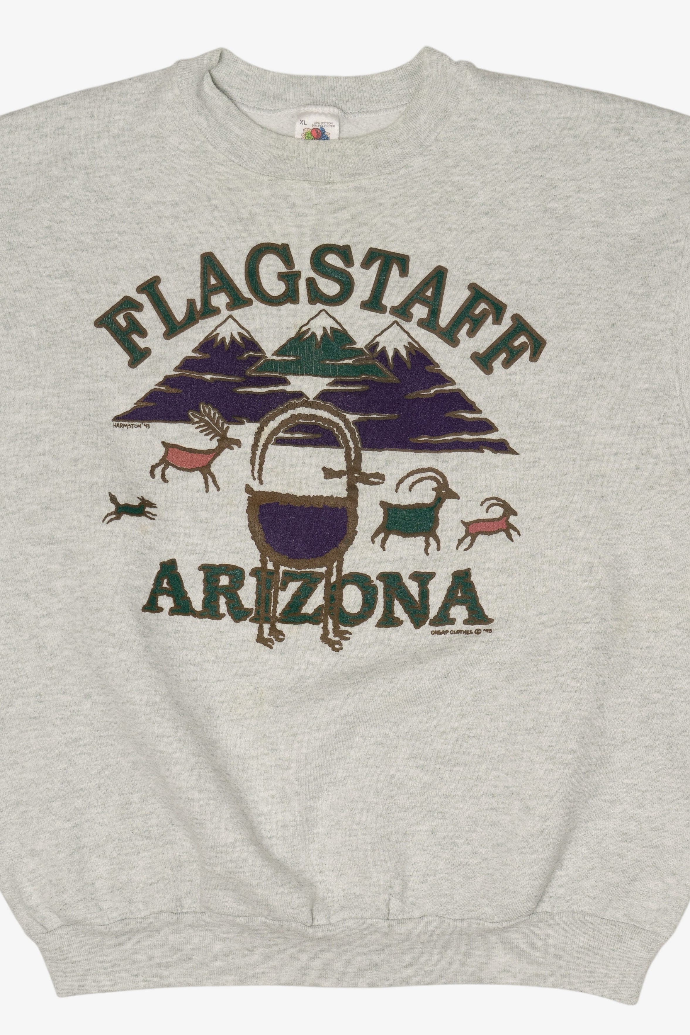 Vintage Gray Flagstaff Arizona Sweatshirt (1990s)