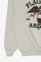 Vintage Gray Flagstaff Arizona Sweatshirt (1990s)