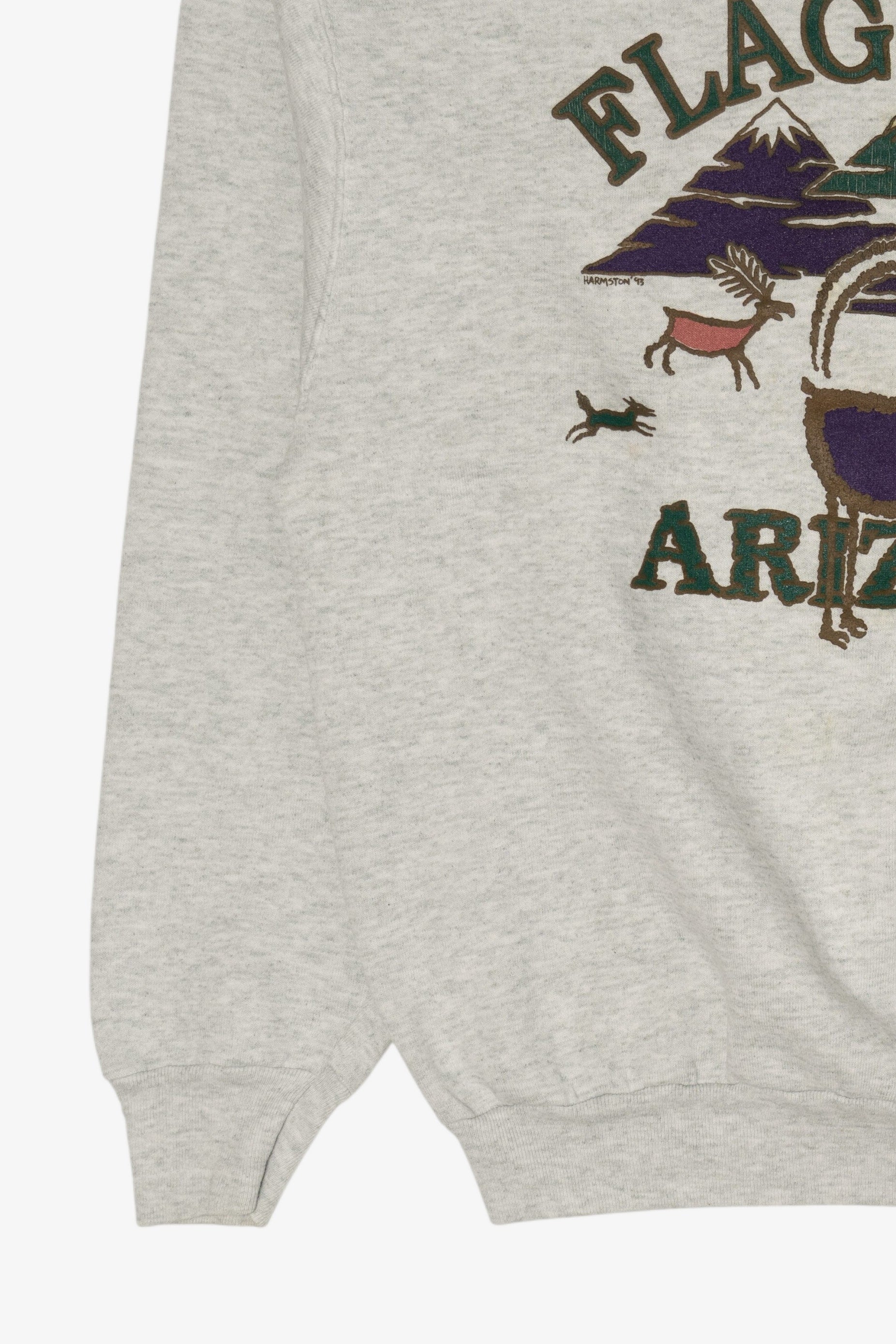 Vintage Gray Flagstaff Arizona Sweatshirt (1990s)
