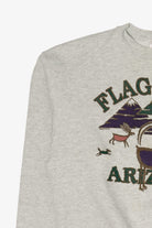 Vintage Gray Flagstaff Arizona Sweatshirt (1990s)
