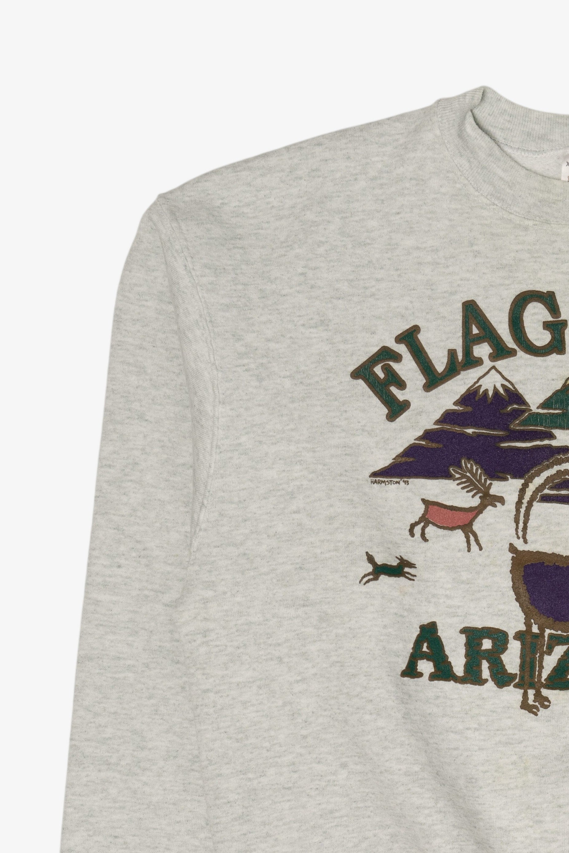 Vintage Gray Flagstaff Arizona Sweatshirt (1990s)