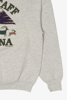 Vintage Gray Flagstaff Arizona Sweatshirt (1990s)
