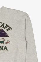 Vintage Gray Flagstaff Arizona Sweatshirt (1990s)