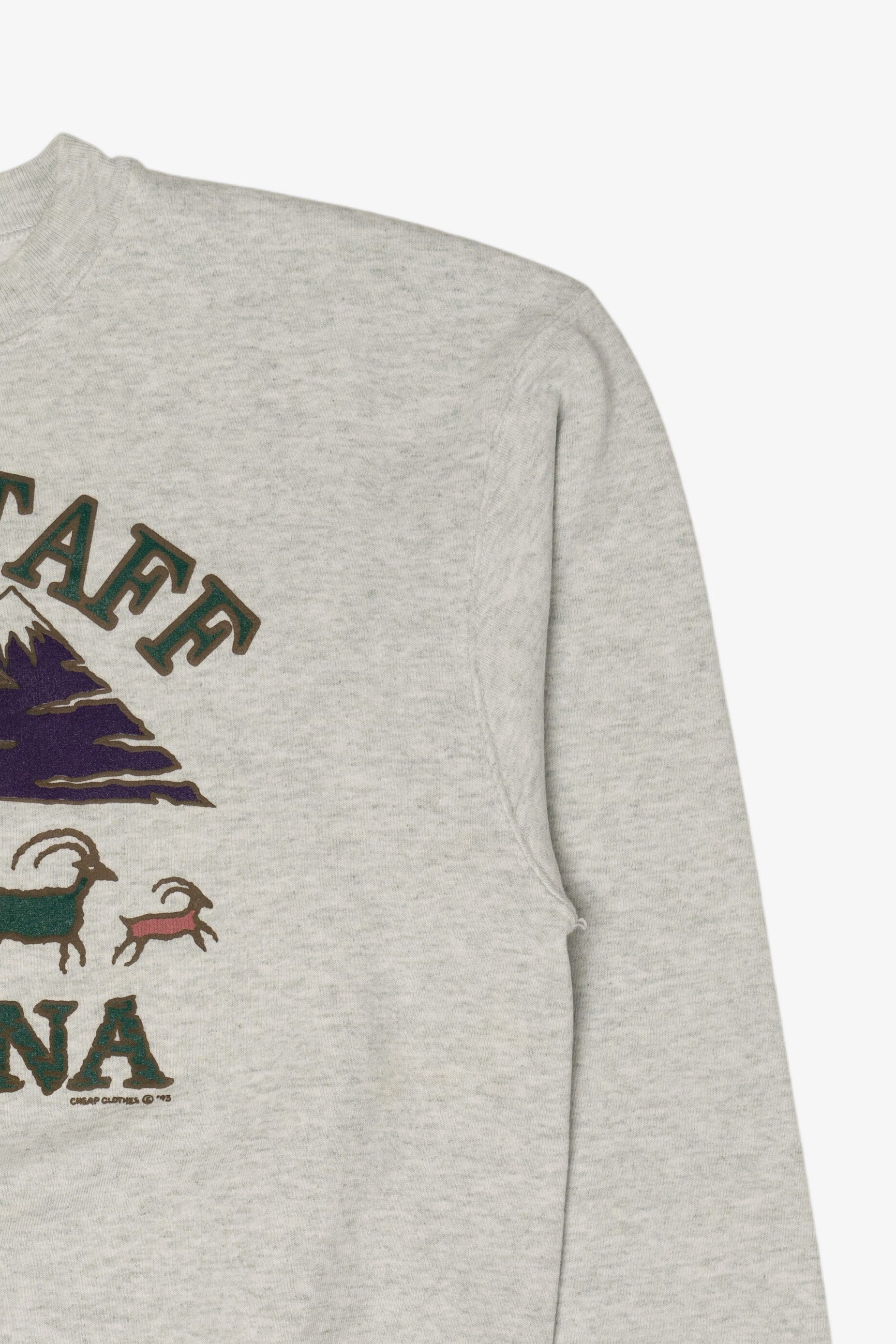 Vintage Gray Flagstaff Arizona Sweatshirt (1990s)
