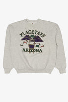 Vintage Gray Flagstaff Arizona Sweatshirt (1990s)
