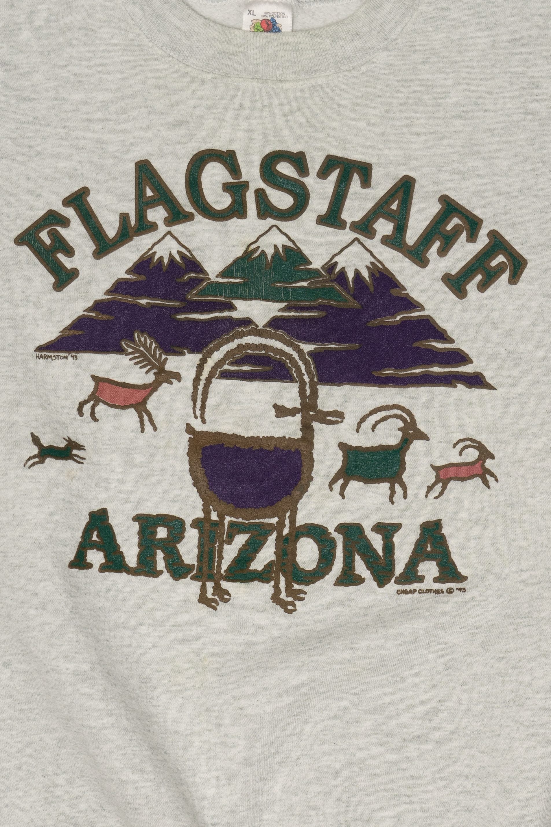 Vintage Gray Flagstaff Arizona Sweatshirt (1990s)