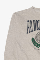 Vintage Gray Princeton Junction New Jersey Sweatshirt (1990s)