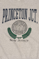 Vintage Gray Princeton Junction New Jersey Sweatshirt (1990s)