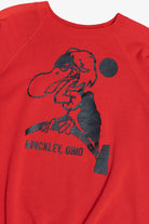 Vintage Sun Faded "Hinckley, Ohio" Souvenir Sweatshirt (1990s)